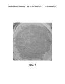 Cheese With Improved Organoleptic And Melting Properties diagram and image