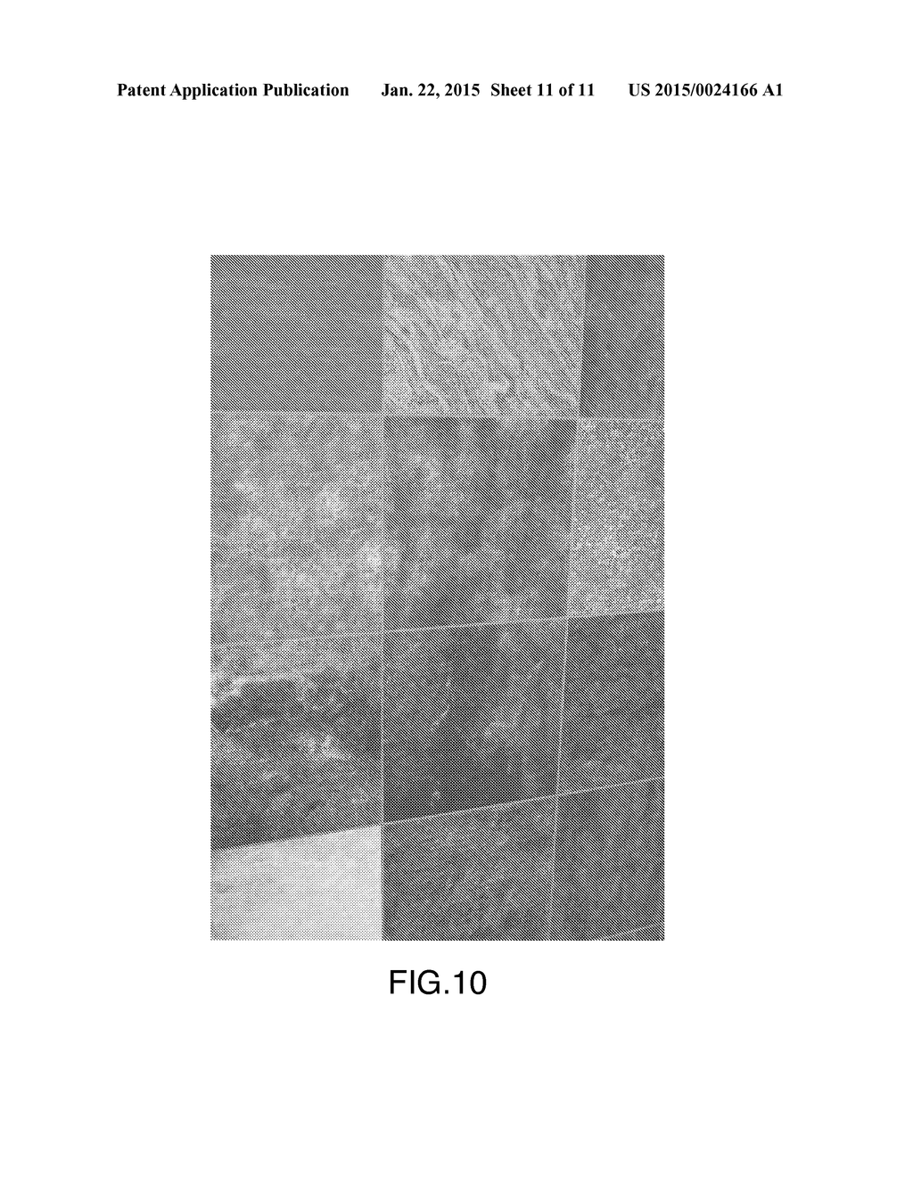 DECORATIVE PANEL HAVING A DIGITALLY PRINTED PATTERN AND PRINTING METHOD     THEREFOR - diagram, schematic, and image 12