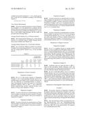 POSITIVE ACTIVE MATERIAL FOR RECHARGEABLE LITHIUM BATTERY, AND POSITIVE     ELECTRODE AND RECHARGEABLE LITHIUM BATTERY INCLUDING THE SAME diagram and image