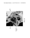 FUEL CELL AND CATHODE MATERIAL diagram and image