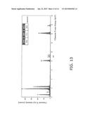 FUEL CELL AND CATHODE MATERIAL diagram and image