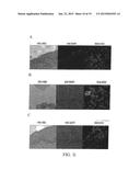 Method and System for Automated Image Analysis in Cancer Cells diagram and image