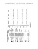 Method and System for Automated Image Analysis in Cancer Cells diagram and image