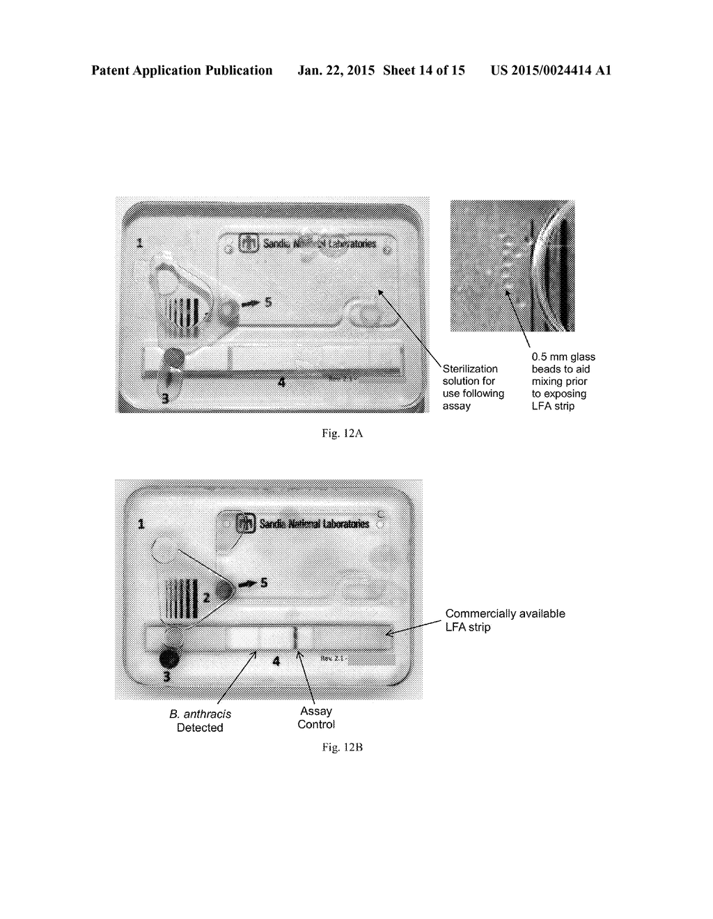 AMPLIFICATION OF BIOLOGICAL TARGETS VIA ON-CHIP CULTURE FOR BIOSENSING - diagram, schematic, and image 15