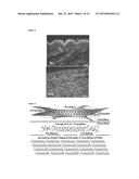 ENGINEERED LIVING TISSUE SUBSTITUTE diagram and image