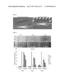 ENGINEERED LIVING TISSUE SUBSTITUTE diagram and image