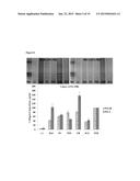 ENGINEERED LIVING TISSUE SUBSTITUTE diagram and image