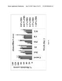 ENGINEERED LIVING TISSUE SUBSTITUTE diagram and image