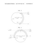 YEAST CELL WITH INACTIVATED NADH DEHYDROGENASE AND METHOD OF PRODUCING     LACTATE USING THE YEAST CELL diagram and image