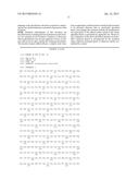 YEAST CELL WITH INACTIVATED NADH DEHYDROGENASE AND METHOD OF PRODUCING     LACTATE USING THE YEAST CELL diagram and image