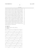 YEAST CELL WITH INACTIVATED NADH DEHYDROGENASE AND METHOD OF PRODUCING     LACTATE USING THE YEAST CELL diagram and image