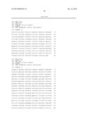 YEAST CELL WITH INACTIVATED NADH DEHYDROGENASE AND METHOD OF PRODUCING     LACTATE USING THE YEAST CELL diagram and image