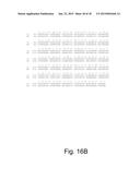 Methods for improving malic acid production in filamentous fungi diagram and image