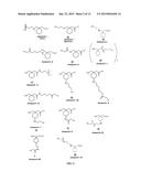 Compounds and Methods for Use in Detecting Gabapentin diagram and image