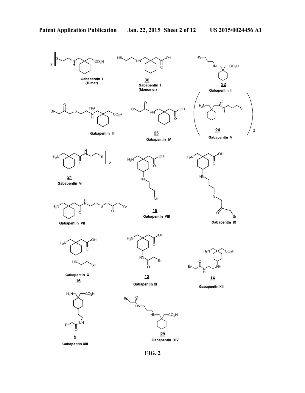 Compounds and Methods for Use in Detecting Gabapentin - diagram, schematic, and image 03