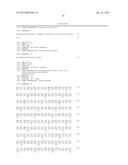 MODIFIED POLYMERASES FOR IMPROVED INCORPORATION OF NUCLEOTIDE ANALOGUES diagram and image