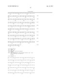 MODIFIED POLYMERASES FOR IMPROVED INCORPORATION OF NUCLEOTIDE ANALOGUES diagram and image