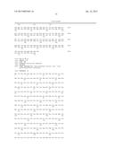 MODIFIED POLYMERASES FOR IMPROVED INCORPORATION OF NUCLEOTIDE ANALOGUES diagram and image