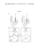 EMBRYONIC STEM CELL SPECIFIC MICRORNAS PROMOTE INDUCED PLURIPOTENCY diagram and image