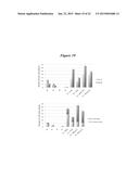 EMBRYONIC STEM CELL SPECIFIC MICRORNAS PROMOTE INDUCED PLURIPOTENCY diagram and image