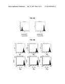 METHODS AND COMPOSITIONS FOR PRODUCING DOUBLE ALLELE KNOCK OUTS diagram and image