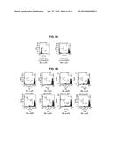 METHODS AND COMPOSITIONS FOR PRODUCING DOUBLE ALLELE KNOCK OUTS diagram and image