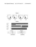 METHODS AND COMPOSITIONS FOR PRODUCING DOUBLE ALLELE KNOCK OUTS diagram and image