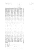 METHODS AND COMPOSITIONS FOR PRODUCING DOUBLE ALLELE KNOCK OUTS diagram and image