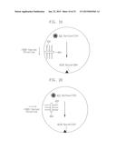 METHOD OF FORMING SEMICONDUCTOR DEVICE HAVING EMBEDDED STRAIN-INDUCING     PATTERN diagram and image