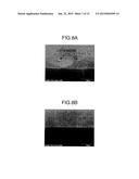 PLASMA PROCESSING APPARATUS AND PLASMA PROCESSING METHOD diagram and image