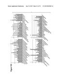 SEPSIS PROGNOSIS BIOMARKERS diagram and image