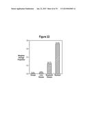 SEPSIS PROGNOSIS BIOMARKERS diagram and image