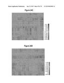 SEPSIS PROGNOSIS BIOMARKERS diagram and image