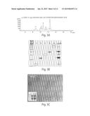 SELECTIVE NUCLEIC ACID AMPLIFICATION FROM NUCLEIC ACID POOLS diagram and image