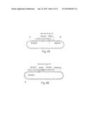 SELECTIVE NUCLEIC ACID AMPLIFICATION FROM NUCLEIC ACID POOLS diagram and image