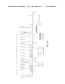 SELECTIVE NUCLEIC ACID AMPLIFICATION FROM NUCLEIC ACID POOLS diagram and image