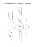 SELECTIVE NUCLEIC ACID AMPLIFICATION FROM NUCLEIC ACID POOLS diagram and image