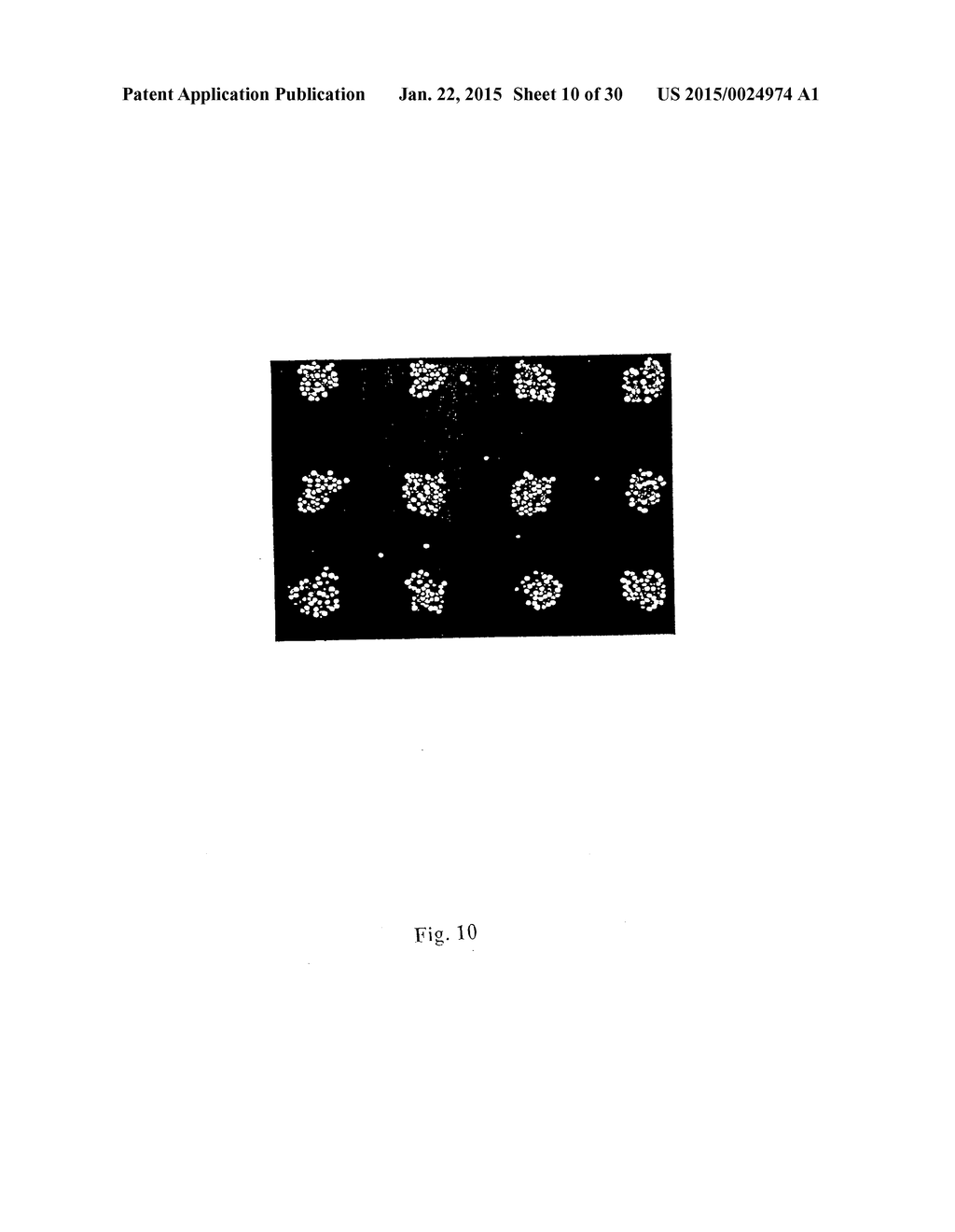 MULTIANALYTE MOLECULAR ANALYSIS USING APPLICATION-SPECIFIC RANDOM PARTICLE     ARRAYS - diagram, schematic, and image 11