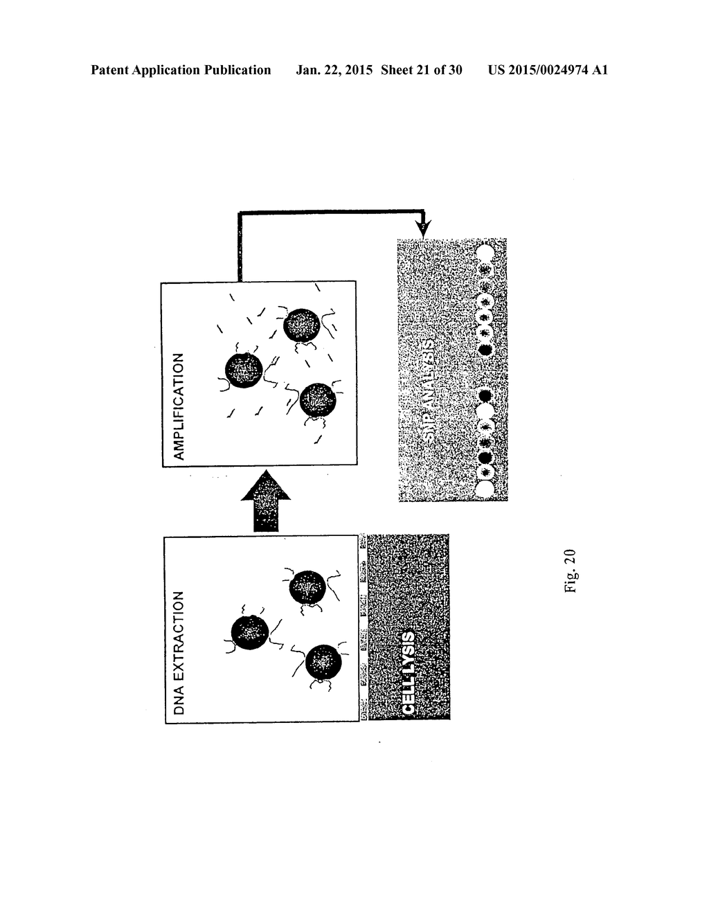 MULTIANALYTE MOLECULAR ANALYSIS USING APPLICATION-SPECIFIC RANDOM PARTICLE     ARRAYS - diagram, schematic, and image 22