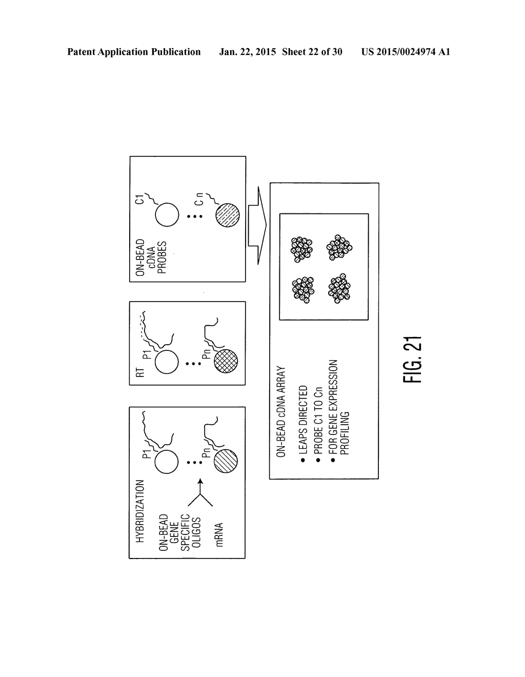 MULTIANALYTE MOLECULAR ANALYSIS USING APPLICATION-SPECIFIC RANDOM PARTICLE     ARRAYS - diagram, schematic, and image 23