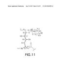 ISOLATION, IDENTIFICATION, AND USES OF ANTIFUNGAL COMPOUNDS diagram and image