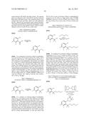 BORON-CONTAINING SMALL MOLECULES diagram and image