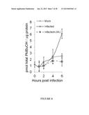 ANTIVIRAL THERAPIES WITH PHOSPHOLIPASE D INHIBITORS diagram and image