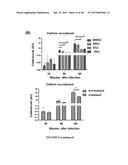 ANTIVIRAL THERAPIES WITH PHOSPHOLIPASE D INHIBITORS diagram and image