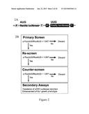 IDENTIFICATION AND USE OF COMPOUNDS THAT AFFECT THE FIDELITY OF EUKARYOTIC     TRANSLATION INITIATION CODON SELECTION diagram and image