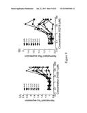 IDENTIFICATION AND USE OF COMPOUNDS THAT AFFECT THE FIDELITY OF EUKARYOTIC     TRANSLATION INITIATION CODON SELECTION diagram and image