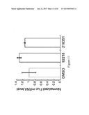 IDENTIFICATION AND USE OF COMPOUNDS THAT AFFECT THE FIDELITY OF EUKARYOTIC     TRANSLATION INITIATION CODON SELECTION diagram and image