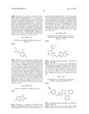 8 - SUBSTITUTED 2 -AMINO - [1,2,4] TRIAZOLO [1, 5 -A] PYRAZINES AS SYK     TRYROSINE KINASE INHIBITORS AND GCN2 SERIN KINASE INHIBITORS diagram and image