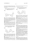 8 - SUBSTITUTED 2 -AMINO - [1,2,4] TRIAZOLO [1, 5 -A] PYRAZINES AS SYK     TRYROSINE KINASE INHIBITORS AND GCN2 SERIN KINASE INHIBITORS diagram and image