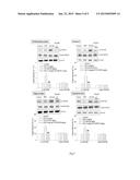 USE OF 7-ALKOXY FANGCHINOLINE COMPOUNDS IN PREVENTING, ALLEVIATING AND/OR     TREATING DEPRESSION diagram and image